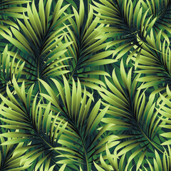 Palm. Seamless pattern of branches and leaves of tropical plants and trees. Vector image. 