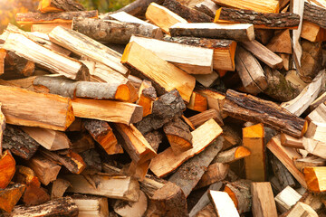 Stock of firewood for heating the house. 