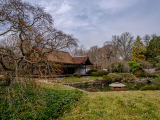 Fototapeta na wymiar The Trees and gardens at the Shofuso Japanese Teahouse