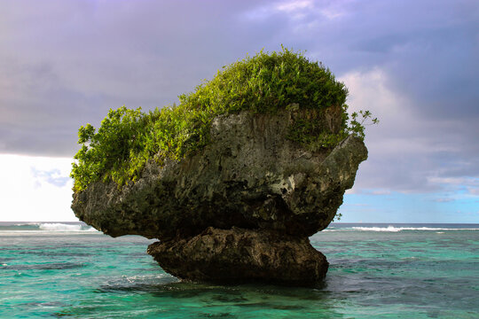 Mushroom Rock