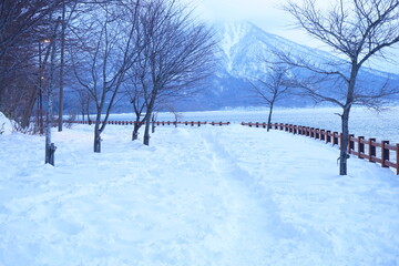 日本 北海道 千歳 冬 支笏湖 