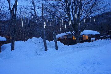 日本 北海道 千歳 冬 支笏湖 