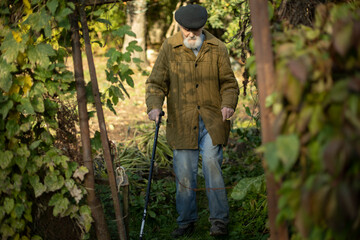 An old man with a stick walks down the street. Grandpa is over ninety years old. Russian old man in the summer.