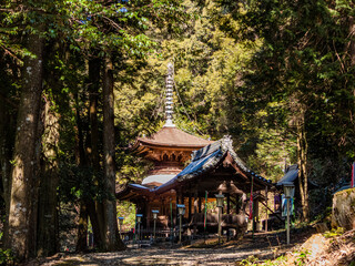 日龍峯寺金毘羅堂と多宝塔