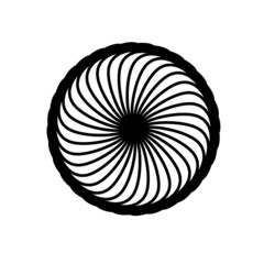 spiral shell isolated on white