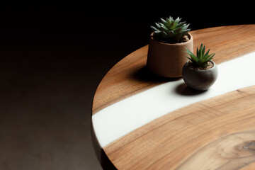 Expensive vintage furniture. The table is covered with epoxy resin and varnished. Luxury quality wood processing. Wooden table on a dark background. Home desktop cacti in concrete pots.