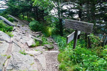 Appalachian Trail near Clingmans Dome