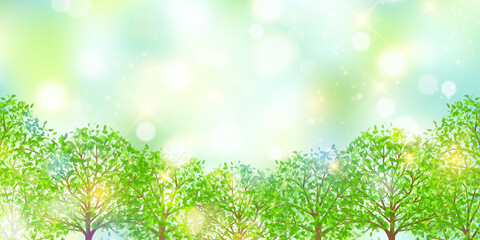 新緑　葉　木　背景 © J BOY