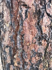 texture