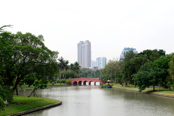 brown  fish  viewing bridge at Chatuchak Park  is a public park