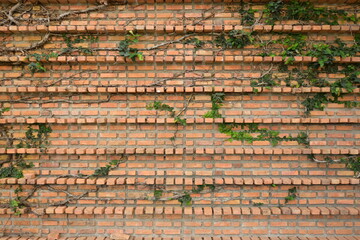 dirty block interior design, birck wall background