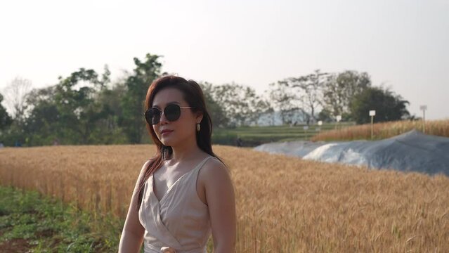 Standing Beautiful young Asian woman at barley wheat field at dusk.