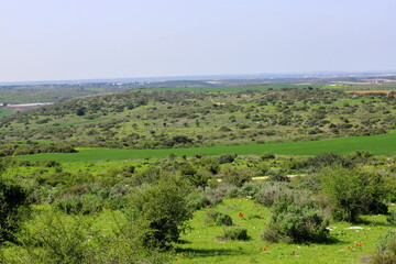 Fototapeta na wymiar Beit Guvrin National Park. Israel. Spring landscape.