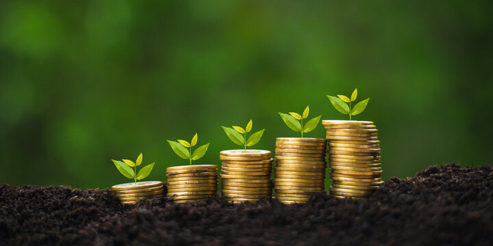 Money coin stack growing on soil and green background with tree growing on money. Saving money concept for business, education, family and retirement.