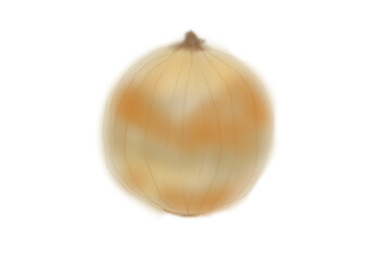 健康的な野菜の玉ねぎ