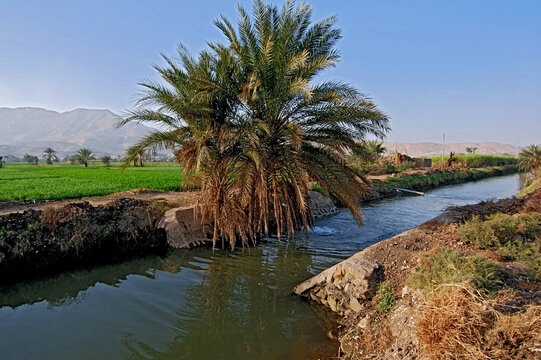 Canal de irrigação no Vale do Rio Nilo. Luxor. Egito.