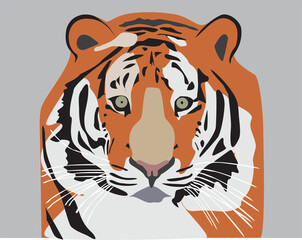 Roaring tiger head illustration, art, wild animal
