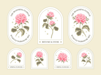 Set of vintage feminine beauty pink rose floral logo elements and label vector illustration templates with leaf branch and frame