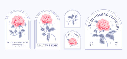 Set of vintage feminine beauty pink rose floral logo elements and label vector illustration templates with leaf branch and frame