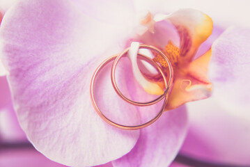 Wedding rings are on the purple orchids