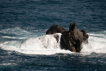 Fototapeta premium Wellen Lava Porto Moniz. Madeira Portugal