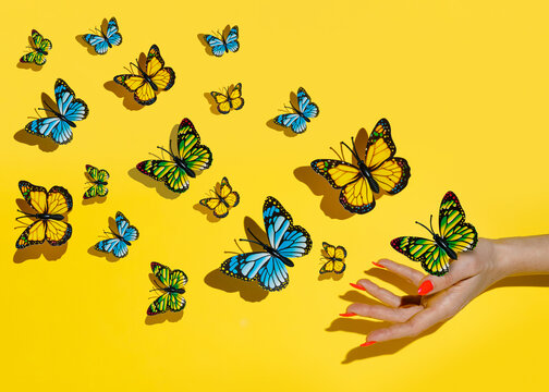Butterflies flies free from women's hand against vibrant yellow background. Creative concept of hope, faith or religion. A symbol of hope and freedom. Cute summer or spring time natural idea.