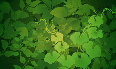 leaves vector illustration wallpapers