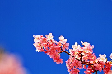 It’s getting warmer