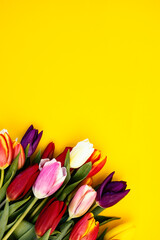 Bunch of tulips in left corner on yellow background.
