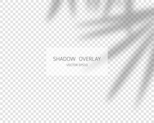 Shadow overlay effect. Natural shadows isolated on transparent background. Vector illustration. 
