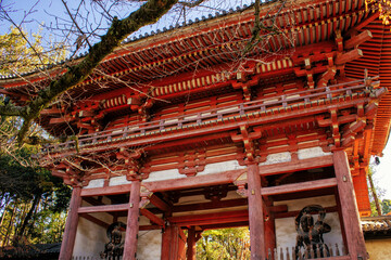 Fototapeta na wymiar 京都、醍醐寺の西大門（仁王門）