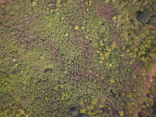 Aerial view of summer field grassland