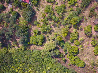 Aerial view of summer field grassland 