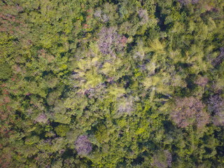 Aerial view of summer field grassland 