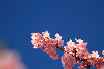 It&rsquo;s getting warmer