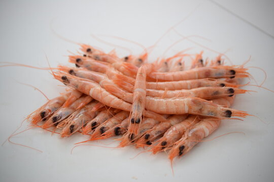 Gamba blanca cocida