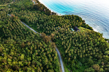 Drone Point of a palm trees and a highway by the seaside Kudat Sabah Borneo, Malaysia.