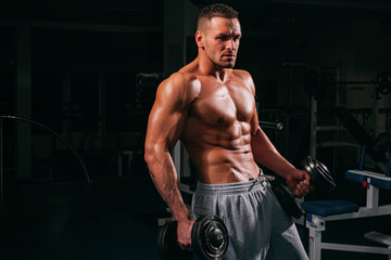 Fototapeta na wymiar Sporty lifestyle. Strong man exercise with dumbbells at gym. Male bare torso. Six packs.