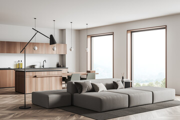 Kitchen interior with sofa and window, cooking room and lounge zone