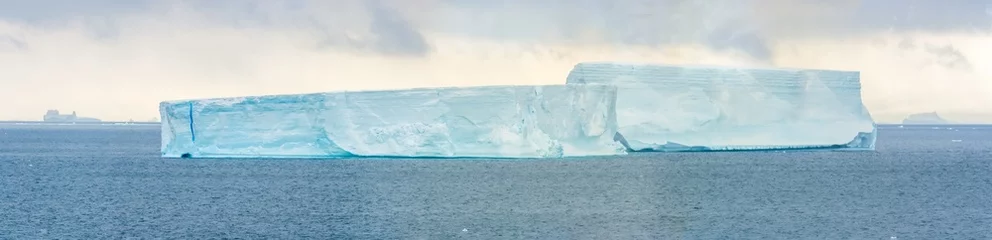 Gordijnen Enorme ijsbergen in tabelvorm op de wateren van het Antarctisch Schiereiland, Brown Bluff, Antarctica © Luis
