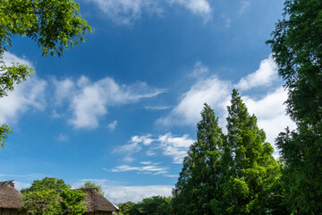 茅葺屋根の青空