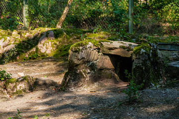 Mossy stone cave in outdoor zoo