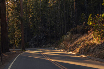 Autumnal natural landscape from Yosemite National Park, California, United States