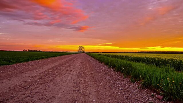 Empty rural road between Canola Fields during colorful Sunset at horizon - Beautiful clouds moving at sky - time lapse shot