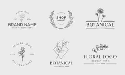 Botanical Floral element Hand Drawn Logo with Wild Flower and Leaves. Logo for spa and beauty salon, boutique, organic shop, wedding, floral designer, interior, photography, cosmetic.