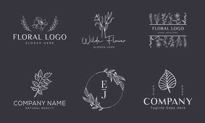 Botanical Floral element Hand Drawn Logo with Wild Flower and Leaves. Logo for spa and beauty salon, boutique, organic shop, wedding, floral designer, interior, photography, cosmetic.