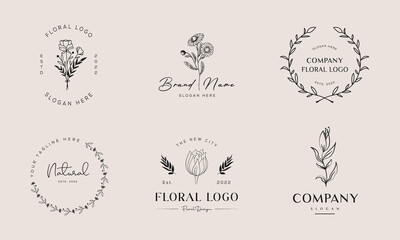 Botanical Floral element Hand Drawn Logo with Wild Flower and Leaves. Logo for spa and beauty salon, boutique, organic shop, wedding, floral designer, interior, photography, cosmetic.