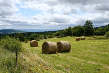 Champs en &eacute;t&eacute; apr&egrave;s moisson avec de belles bottes de paille sur les chemin de randonn&eacute;e des pierres lev&eacute;es &agrave; Cournols en Auvergne
