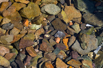 texture transparent clear waters of the sea lake