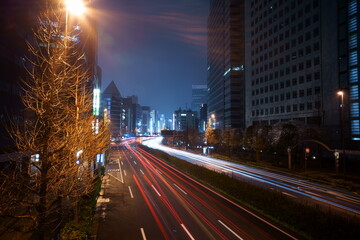 Fototapeta na wymiar Tokyo night